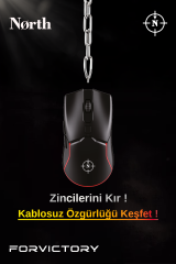 North Prestige Kablosuz Gaming Mouse