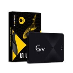 GidsWill 240GB SATA 3.0 2.5'' SSD (500MB Okuma / 420MB Yazma)